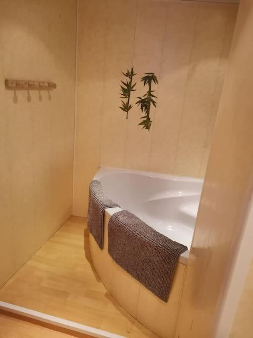 Maison Vosgienne 2 A 8 Personnes Rochesson エクステリア 写真